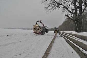 Rückezange mit Schwenkgelenk beim Rücken von Langholz